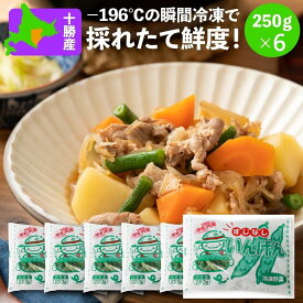 冷凍 すじなしいんげん(すじなし豆) 国産 北海道産 JA中札内村 すじなしいんげん 250g×6 送料無料 冷凍野菜 冷凍食品