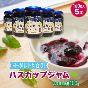 W nXJbvW160g×5{ (bsO) Ysgp Y kC [ؓ i`W  haskap jam