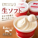 父の日 アイスクリーム ハッピネスデーリィ 生ソフトクリーム 北海道 十勝産 生乳使用 牧場直送 濃厚ミルクのなめらか…