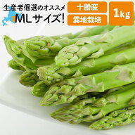 【出荷始まりました！】 アスパラ 北海道 産 露地栽培 M〜Lサイズ混合 1kg 十勝産 朝採り 露地物 グリー…