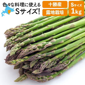 アスパラ 北海道 産 北海道 アスパラガス露地栽培 アスパラ Sサイズ1kg 十勝産 朝採り 露地物 送料無料