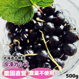 楽天市場 ブラックカラント カシス の通販