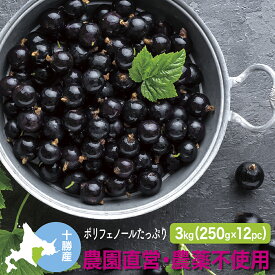 冷凍黒カシス(農薬不使用) 国産 3Kg(250g×12) 2024年産 北海道十勝産 ブラックカラント スーパーフード