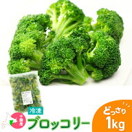 冷凍ブロッコリー 北海道産 ブロッコリーカット 1kg 国産 十勝産 冷凍野菜 冷凍食品 こばやしフーズ ブロ…