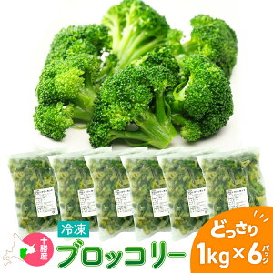 ⓀubR[ kCY ubR[Jbg 1kg Y \Y Ⓚ ⓀHi ΂₵t[Y ubR[ Ɩp Ⓚ Jbg