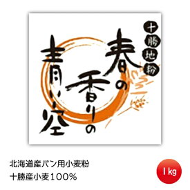 小麦粉 北海道産 国産小麦 パン用小麦粉 春よ恋ブレンド 「春の香りの青い空」1Kg 山本忠信商店 ヤマチュウ