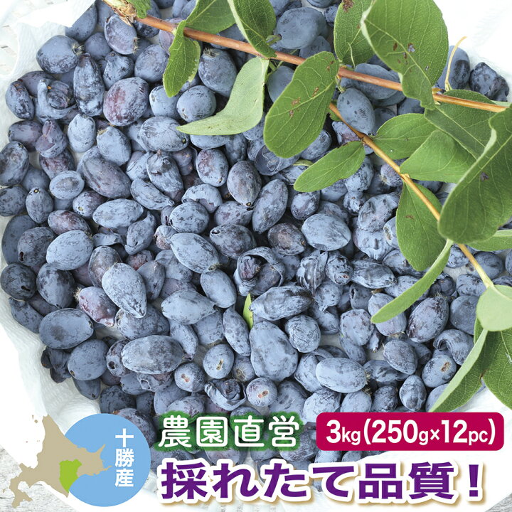 楽天市場】【採れたて良品質・数量限定】 冷凍ハスカップ 3kg 
