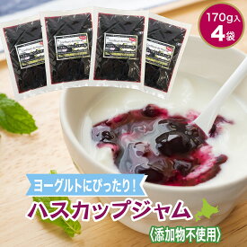 無添加ハスカップジャム 北海道 170g(平袋)×4袋 ヨーグルトソース フルーツソース デザートソース ベリーソース RSL