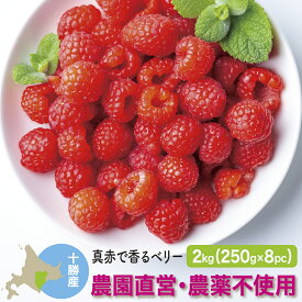 冷凍ラズベリー国産 2kg(250g×8) 北海道十勝産 栽培期間中農薬不使用