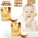 大望 野菜フレーク じゃがいもフレーク レギュラーサイズ(60g)×2パックセット 乾燥野菜 添加物不使用 離乳食 介護食 スープ作り お菓子作り 野菜不足解消に！