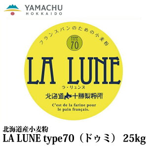 【送料無料】LA LUNE（ラ・リュンヌ）Type70（ドゥミ）【25kg】業務用/国産/小麦粉/準強力粉/北海道産/ハード系/パン