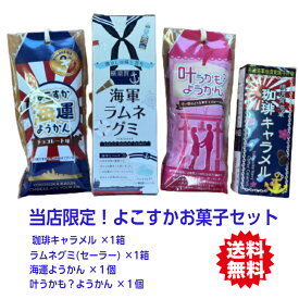 お菓子 セット ご当地 お土産 キャラメル グミ おみやげ 高速道路 PA SA 人気 海軍 ようかん 叶神社 お守り 横須賀 カレー ネコポス 当店限定！よこすかお菓子セット