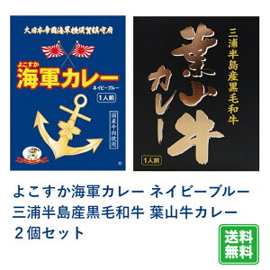 \10%ポイント還元 10/29 10:00- 11/2 09:59/G よこすか海軍カレー ネイビーブルー・葉山牛カレー 2箱セット レトルト カレー レトルトカレー 詰め合わせ ご当地 横須賀 呉 佐世保 葉山 葉山牛 ネイ