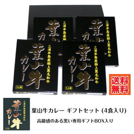 ＼10%ポイント還元 6/13 10:00- 6/27 09:59／【2025月8月初旬入庫分予約受付】G 葉山牛カレー 4食入りギフトボックスセット【楽ギフ_包装】カレー レトルト レトルト食品 詰め合わせ ご当地 お中元 ギフト 横須賀 海軍カレー よこすか 防災 非常食 ギフト お土産