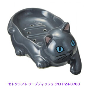 G ZgNtg \[vfBbV N P24-0703 \[vfBbV ΂ ΂P[X \[v lR L ˂ 킢 ZgNtg NlR L CML