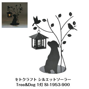 G ZgNtg VGbg\[[(TreeDog) SI-1953-900 \[[Cg GNXeA K[f K[fjO   \[[  hbO  fUC  VGbg CML