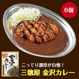 ＼10%ポイント還元 6/13 10:00- 6/27 09:59／G 三徳屋の金沢カレー×6個 カレー レトルト レトルトカレー 金沢市 石川県 ビーフ 濃厚 こってり 中辛 ソウルフード パッケージ 紙情報誌 情報 レシピ おみやげ 土産