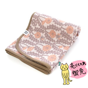 G katakata ۂ 13964747 }`Pbg uE ^I kata kata  ʋC ӂӂ K[[ ^ El Rbg100% { ݌Ɍ Ki