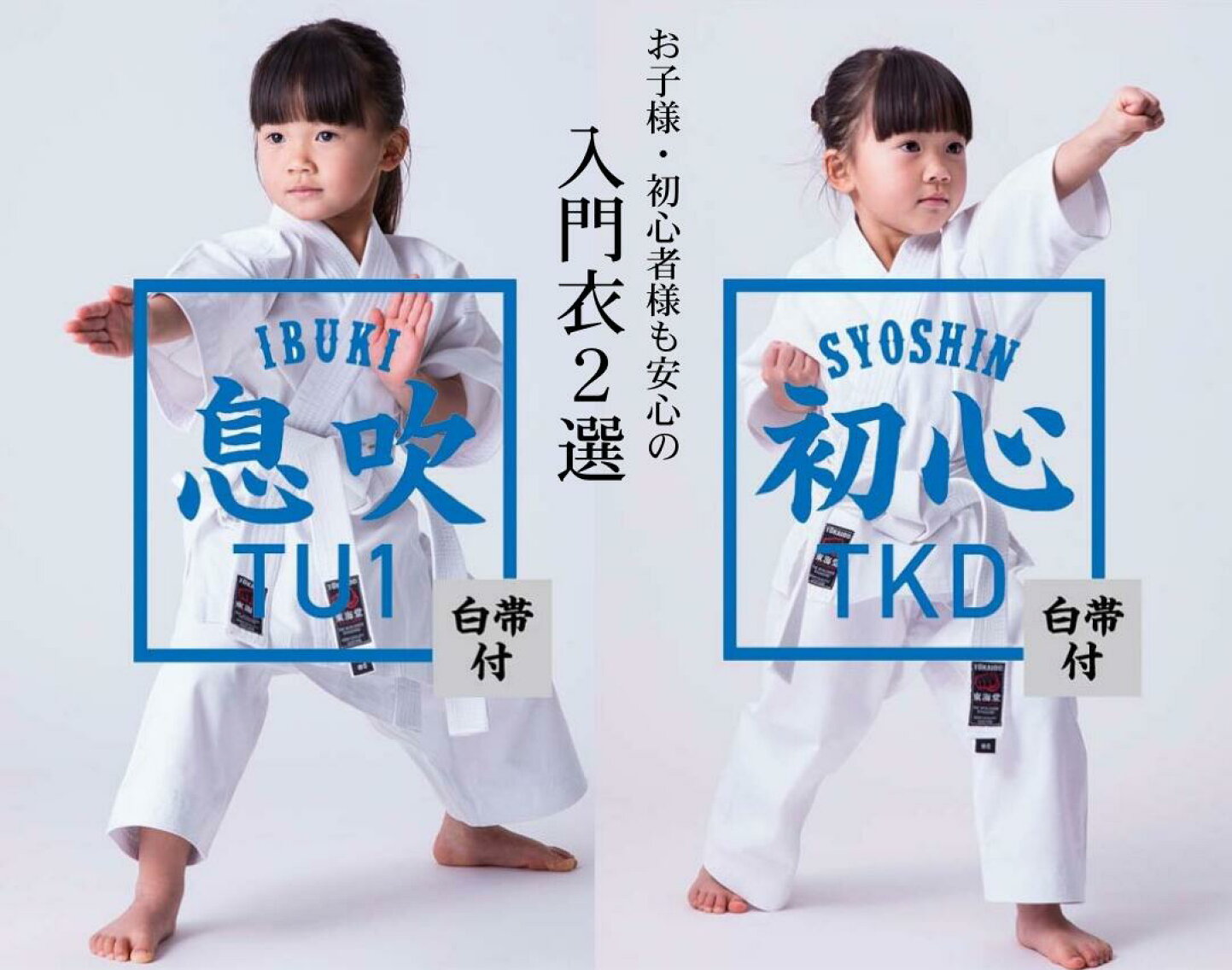 TOKAIDO 空手道 コンビネーション防具セット 青 赤 大人用 楽天市場 