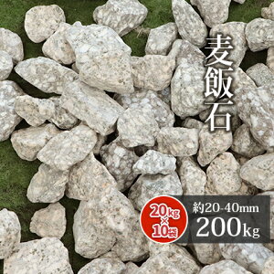 ѐ 20-40mm 200kg (20kg×10) |  ύ    DF F K[fjO | K[f GNXeA x_ tH[ a 뉀 