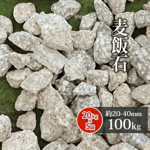 _|Cg5{9/25!^ѐ 20-40mm 100kg (20kg×5) |  ύ    DF F K[fjO | K[f GNXeA x_ tH[ a 뉀 