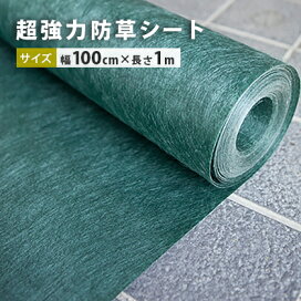 boso-100-1.jpg?fitin=272:272