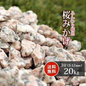 楽天市場 御影 桜の通販 楽天市場 御影 桜の通販
