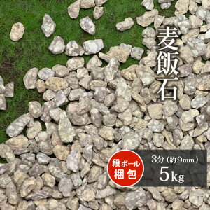 ѐ 3 (9mm) 5kg | K[fjO K[f GNXeA Av[`        O[  F x[W a a 뉀 ̔ Ԓd ѐ΍ ύ ~