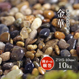 ＼30日限定!ポイント2倍／金華 2分 (約5-10mm) 10kg