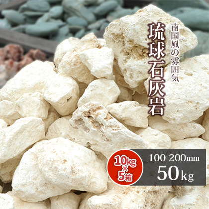 楽天市場】琉球石灰岩 100-200mm 50kg (10kg×5箱) | アジアン