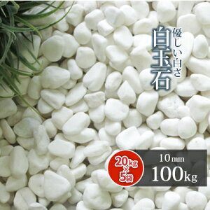 ʐ 10mm 100kg (20kg×5) |     O\ ɕ~ diy  ~ | K[f K[fjO ʐ ʍ ~ ύ ~   hCK[f ԏ Xbg ڒn a 