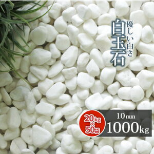 ʐ 10mm 1000kg (20kg×50) |     ~ ~  1g  diy O\ ɕ~ K[fjO | K[f 뉀  a m ʍw ̔ GNXeA ΍  z
