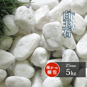 ʐ 25mm 5kg |      K[fjO diy K[f O\ x_ eX  v^[ ϗtA Ԓd m a  ʐ ʍ zCg ~ ~ ~ Xg[ 