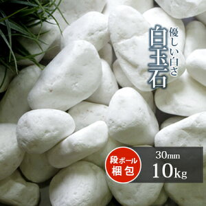 _|Cg10{!X[p[SALE!^ʐ 30mm 10kg |     ~   diy K[f | K[fjO  Xbg 嗱 ϗtA ؒ hCK[f ϐ ύ zCg
