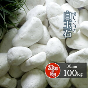 _|Cg5{10/1!^ʐ 30mm 100kg (20kg×5) |    diy    O\ K[f | K[fjO 嗱 Ԓd  Av[` ~ hCK[f ~ ~ GN