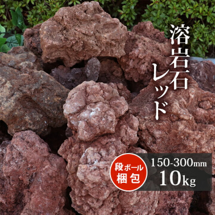 楽天市場 送料無料 溶岩石 レッド 150 300mm 10kg以上 庭石 庭 ロックガーデン ガーデニング 石 レイアウト 花壇 岩 アクアリウム 熔岩 溶岩 縁石 赤 水槽 火山 火山岩 対策 岩石 ビオトープ 販売 テラリウム アクアリウム用品 レイアウト用品 園芸 東海砂利 楽天