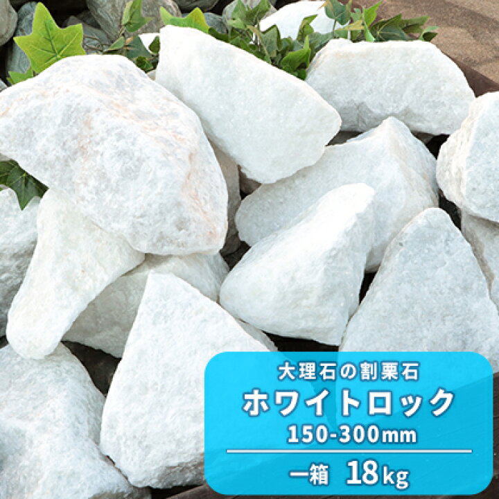 楽天市場 ホワイトロック 150 300mm 18kg 在庫限り 庭石 庭 ロックガーデン 砕石 割栗石 白 ガーデニング 石 洋風 レイアウト ロック ガーデン 花壇 縁石 園芸 大理石 自然 エクステリア ホワイト 販売 白い石 園芸用品 リフォーム 庭園 造園 ガーデン用品 東海