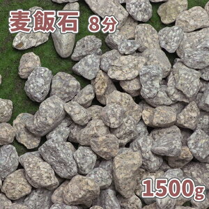 ѐ 8 (24mm) 1500gy1000~N[|tz|      ̔ { Tv  ѐ΂̍ K[f ~ Xg[ K[fjO diy  ANAE 嗱 ύ 