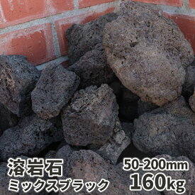 楽天市場 溶岩石 庭の通販