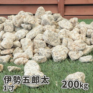 _|Cg5{!!ӍՒ^ɐܘY 1 (30mm) 200kg (20kg×10) |     K[fjO diy  ɐ ɐ낽 ɐS^ a 뉀 m K[f 傫 3Z` O