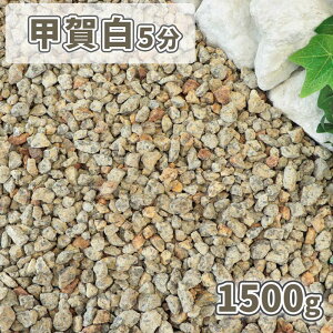 _|Cg5{!9/15^bꔒ 5 (14-21mm) 1500gy1000~N[|tz|   diy  x[W ~ ~   { Tv   ̔ }`O WI} ϐ 