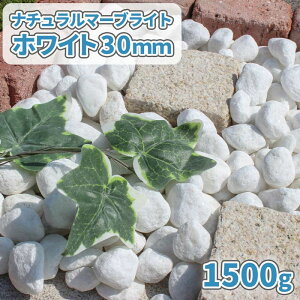 i`}[uCg zCg 30mm 1500gy1000~N[|tz|     m diy  ~ K[f ~   ʐ ʍ  1.5L { }`O yB A  
