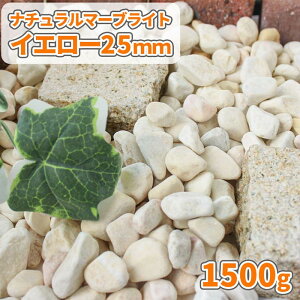 _|Cg5{}\!!^i`}[uCg CG[ 25mm 1500gy1000~N[|tz|     F 嗝 ʐ ʍ ~ ~ ~ K[f | K[fj
