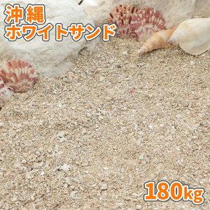 zCgTh 180kg (18kg×10) |    zCgTh C  K[f ύ  V  C̍ J[Th VR R ANAE  C hJ  W
