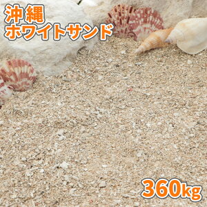 _|Cg5{10/10!^zCgTh 360kg (18kg×20) |    C  zCg  x[W ύ hCK[f ][g C̍  V V Ntg A[