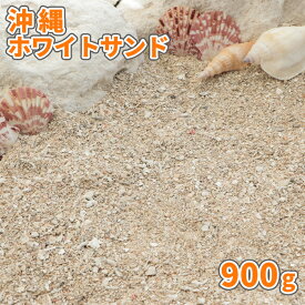 沖縄ホワイトサンド 900g【1000円クーポン付/ゆうパケット:代引,日時指定不可】| 庭 砂 おしゃれ diy 白 サンプル 見本 少量 海砂 販売 白砂 海の砂 アクアリウム 水槽 白い砂 インテリア ディスプレイ アート クラフト 工作