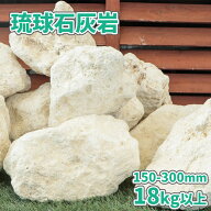 ＼ポイント5倍♪マラソン中!／琉球石灰岩 150-300mm 18kg以上 | 庭 石 おしゃれ 販売 ロックガーデン 庭…