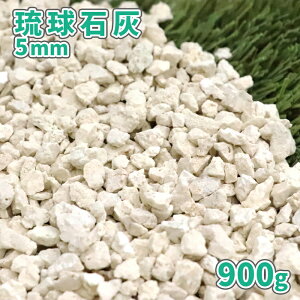ΊD 5mm 900gy1000~N[|t/䂤pPbg:,wsz|     ̔   K[fjO diy | K[f ~ Tv {    ύ