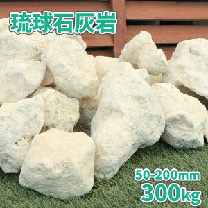 ΊD 50-200mm 300kg (10kg×30) | AWA GXjbN bN bNK[f  낽 K[fjO K[f hCK[f ][g x[W    ΊD Ί_ ΍  I 