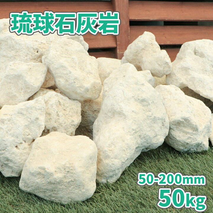 楽天市場】琉球石灰岩 50-200mm 50kg (10kg×5箱) | アジアン 